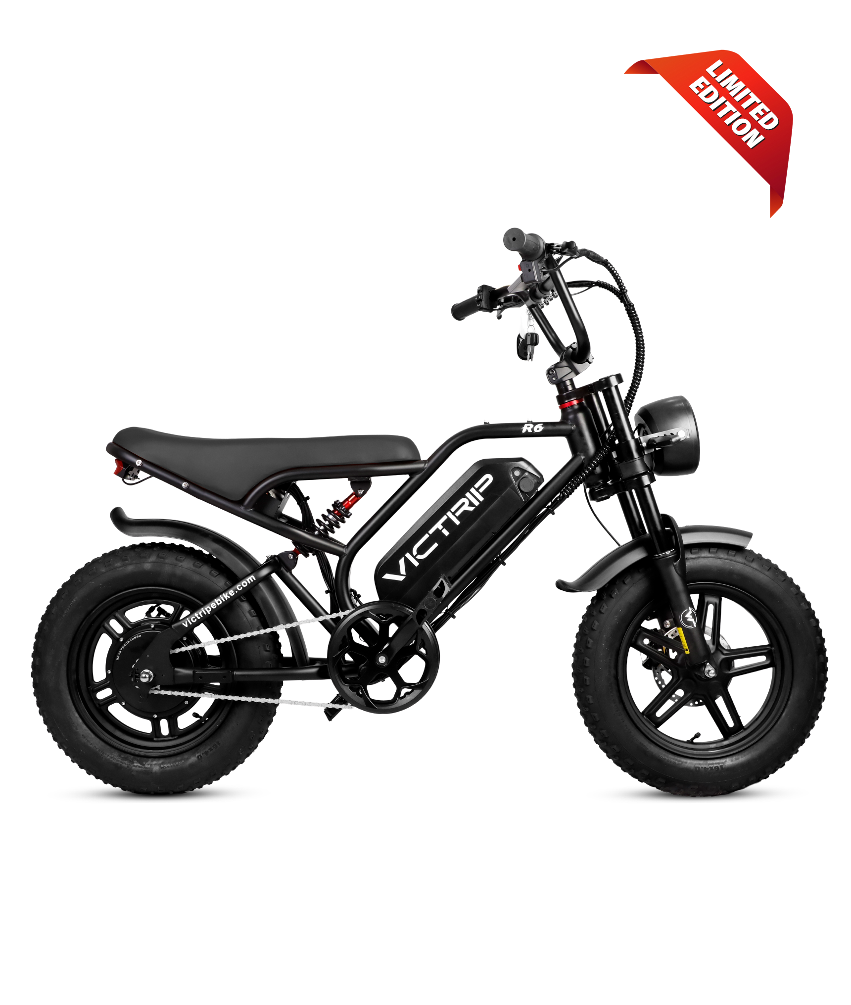 VICTRIP R6 Off Road Ebike