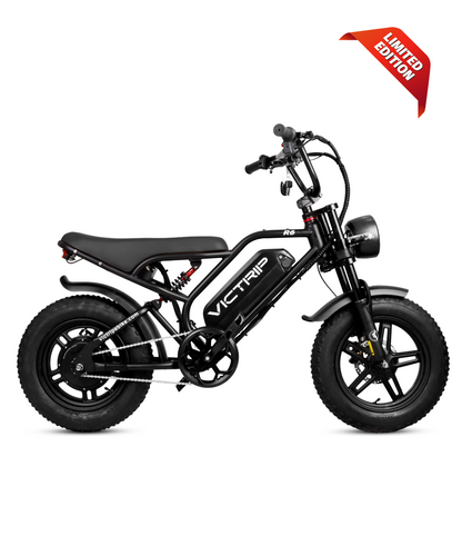 VICTRIP R6 Off Road Ebike