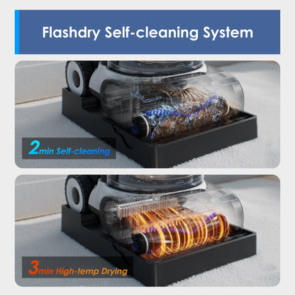 Carpet One Cruiser Carpet Cleaner