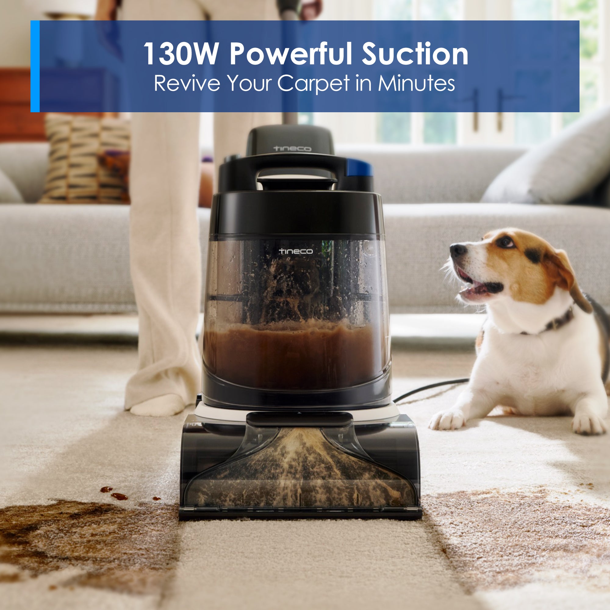 Carpet One Cruiser Carpet Cleaner